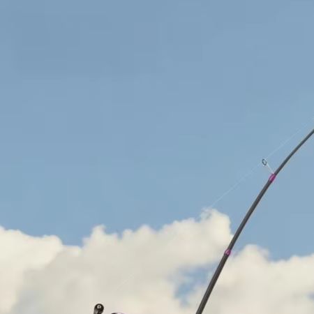 1.8M Voor BFS Dedicated L Acti - Fishing Rod Carbon Fiber recensie en prijs